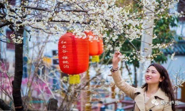 清明假期，卢氏许您“花花世界”