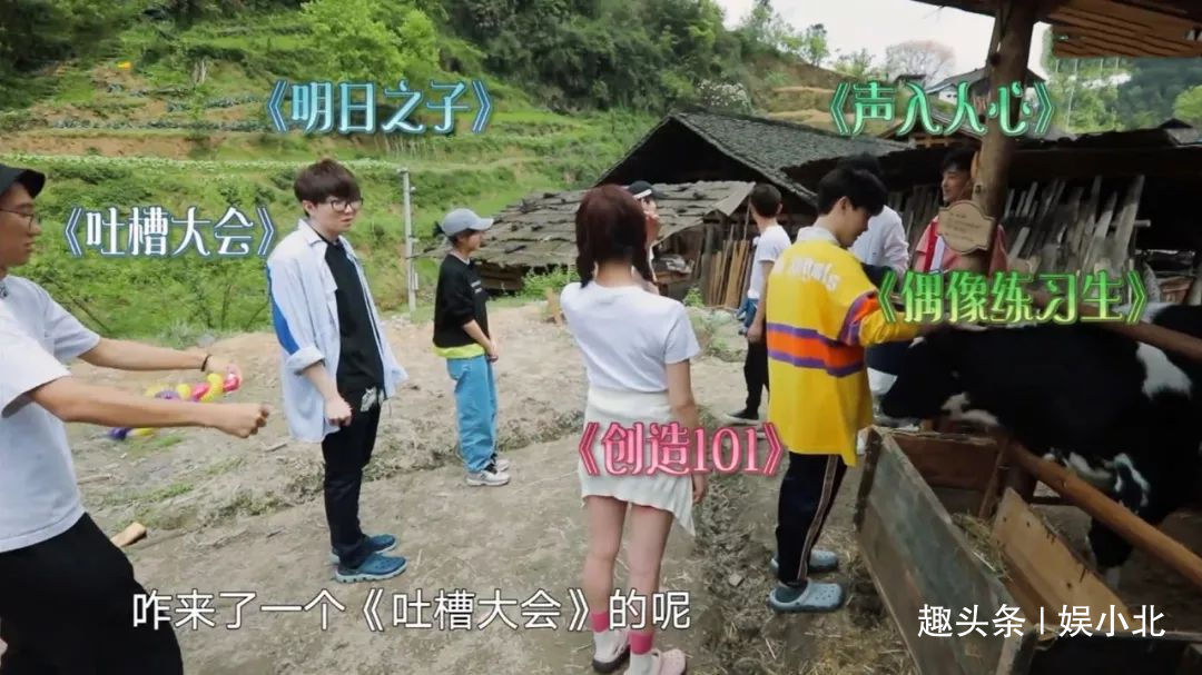 《向往》收視低迷，節目組為挽留觀眾搞投票，可根本問題卻沒解決