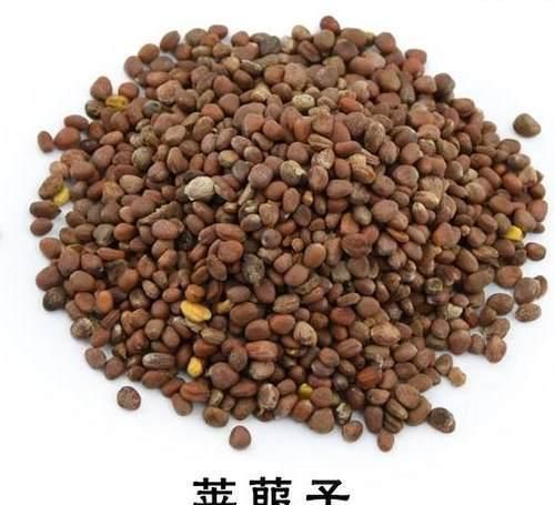 痰湿|一个非常强大的方子，只需3味药，把痰湿彻底根除，神清气爽