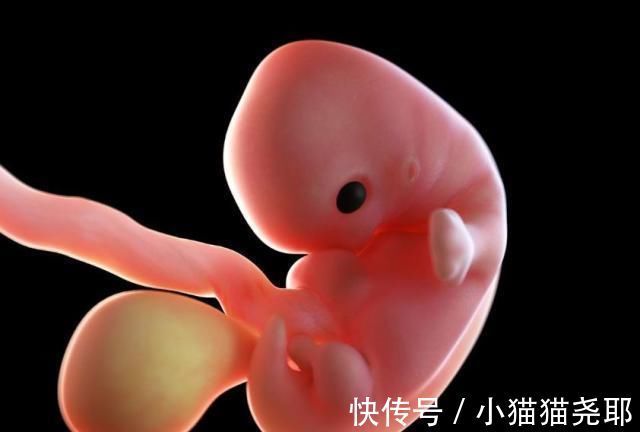 准妈妈|怀孕1~40周，每周身体有何变化？送你一份“孕期清单表”！