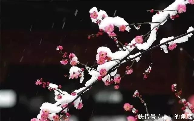 冬天|毛泽东笔下的冬天,大气磅礴,何等壮美,何等洒脱!