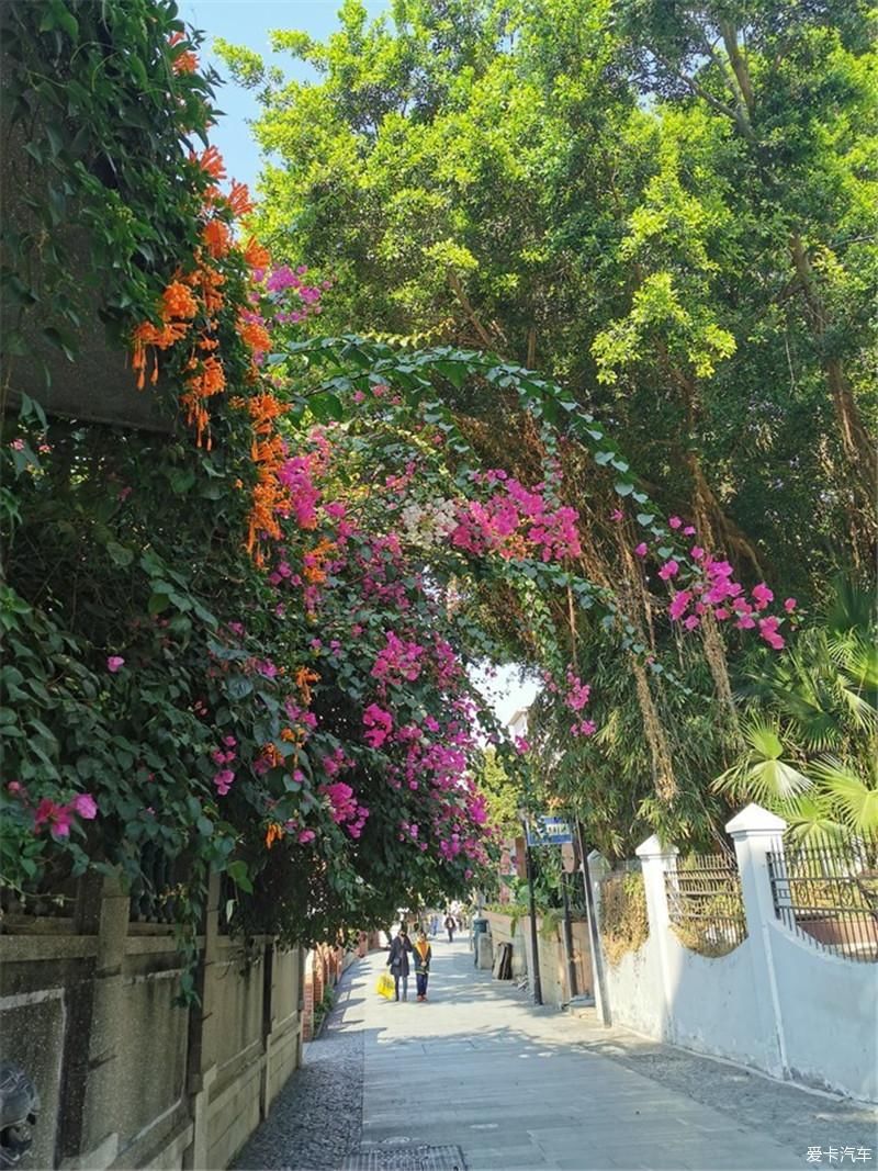 花海|厦门自由行