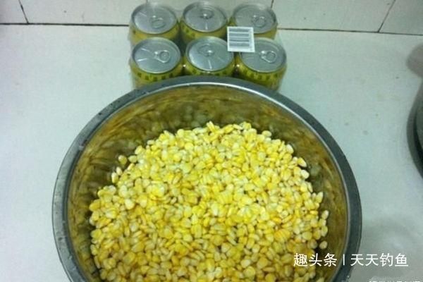 盛夏时节钓鱼,鲜为人知的四个用饵技巧,饵料对了口,上鱼更多