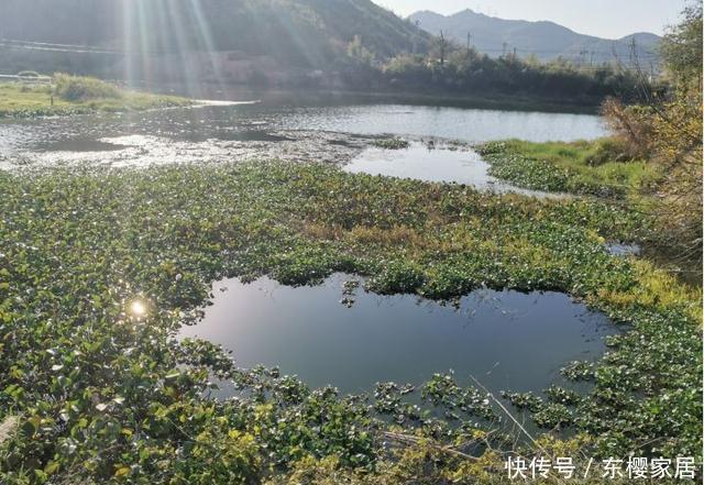 钓友|冬季钓鱼到底是晴天好还是雨天好？选对天气才能钓得更多