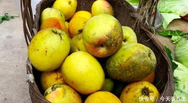 冬天,遇到这水果别手软,多买几个,能生吃能做菜,入口清爽开胃!