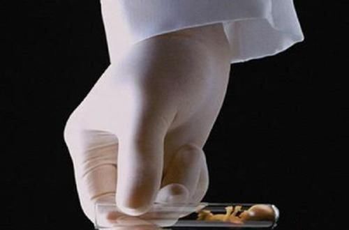 寿命|试管婴儿和普通婴儿,有什么区别并非寿命和智商,差的只有这个