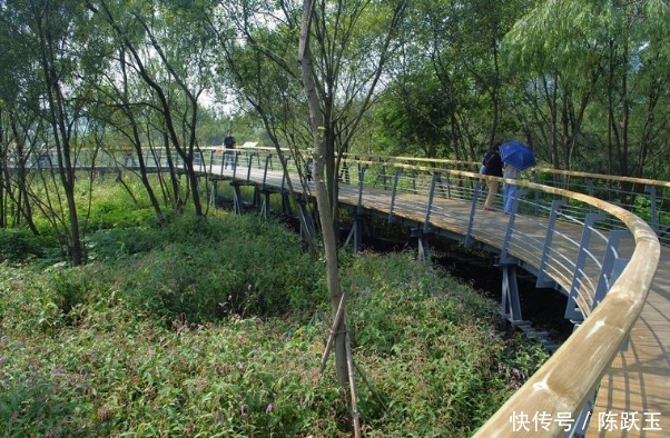 自爆|112岁“最美老寿星”张明珠自爆!长寿法人人复制,你还不知道?