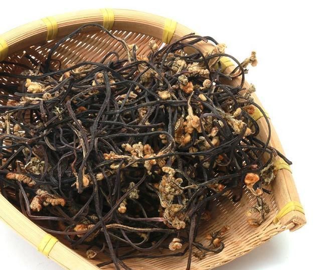 美味|你吃过山蕨菜吗它不仅是种可口的美味,对我们身体有很有帮助哦