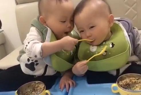 双胞胎|“糊涂蛋哥哥”错把饭喂到弟弟嘴里,瞬间慌了“小手一摊”萌化了