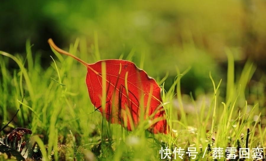 胜春朝#孟浩然28字唐诗记载初秋之景,成就唐诗当中最诗意的秋色