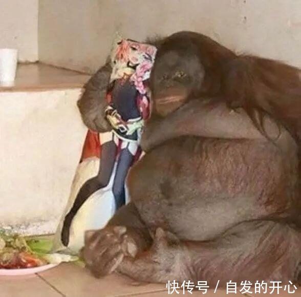 |「被窝段子20220131」生活嘛 慢慢来 所有的好运都在路上