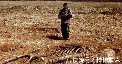 进击的巨人|地球曾经被巨人统治过?这些证据颠覆你的三观