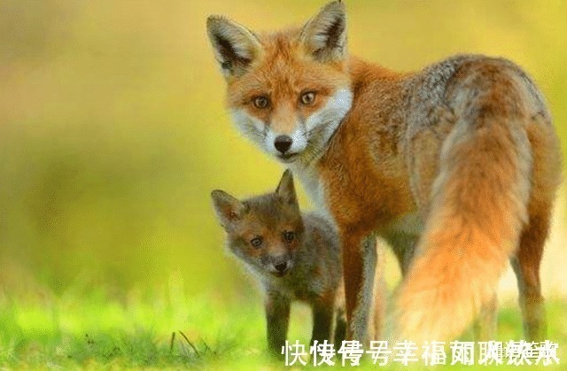 寒冬@明代以前没有棉被,古人是如何度过寒冬的老祖宗真有才