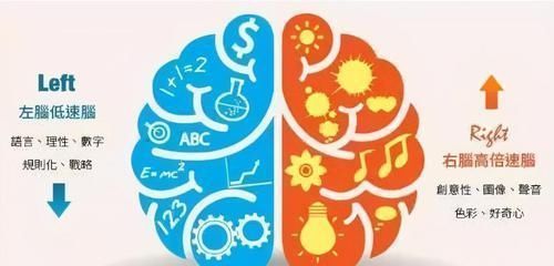 行为|哈佛研究发现:这6种行为会导致孩子大脑“变笨”,父母别大意了