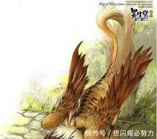 惊呆了! 中国上古传说中的神兽, 都在这里了!