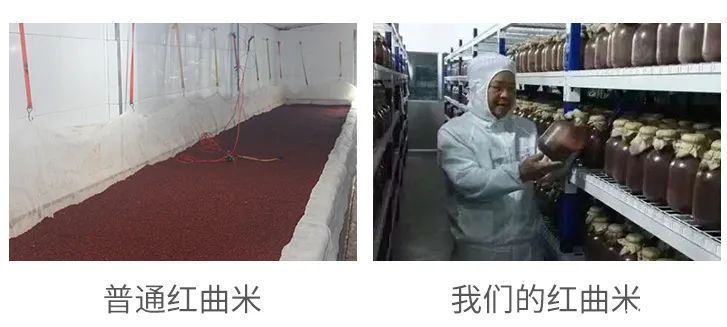 红曲|护血管只知道吃三七？天然“血管清道夫”，中医常用它泡水喝