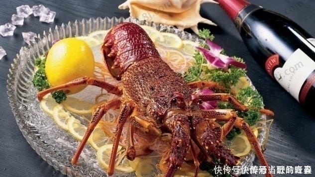 瑞士|瑞士厨师被龙虾难倒,一定要弄晕再烹饪,中国厨师只用两字就搞定