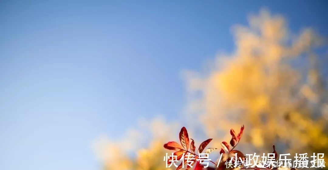 简简吟@宅在家,没事做就读一读这40句古诗词,每一句都是人间绝句