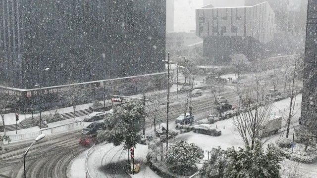 大部地区|被南方的鹅毛大雪刷屏！“断桥残雪”美呆，有人在雪里实现“冰墩墩”自由