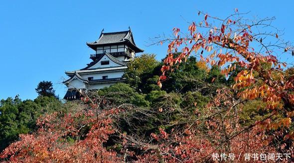 日本战国探题无威 家臣作乱 大崎家的统治危机 快资讯