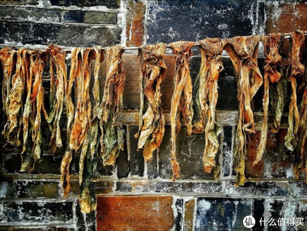 这些蔬菜晒干之后，留着冬天吃，炖肉蒸包子真香，今年你都晒了啥？