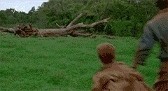 |搞笑GIF:结婚十五年没洗过 是时候该洗洗床单了