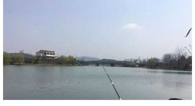 便宜|新手钓鱼一定要买便宜货？胡说，老钓手教你怎样挑装备