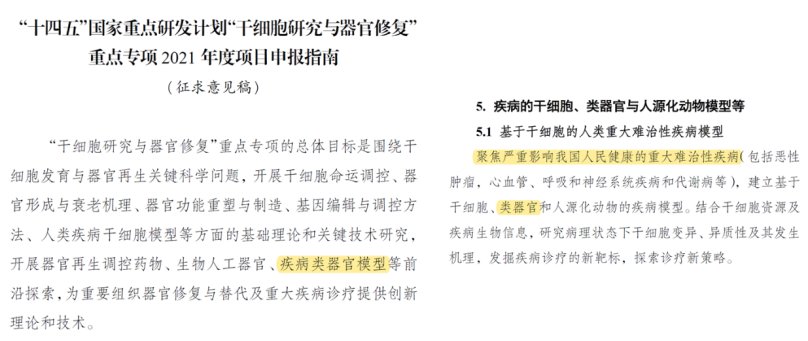 胰腺癌|培养皿中种出肿瘤,为癌症患者打开希望之门!