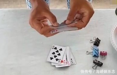 趋光性|君子兰叶片歪歪斜斜不整齐，巧用扑克牌叶片自动对齐长