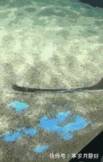 |搞笑GIF:俺有一个室友也是这样上床,结果床沿断了!