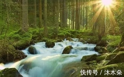 曾巩|陈师道的一首七律，展现出风骨秀异的高士形象，还入选了高考试题