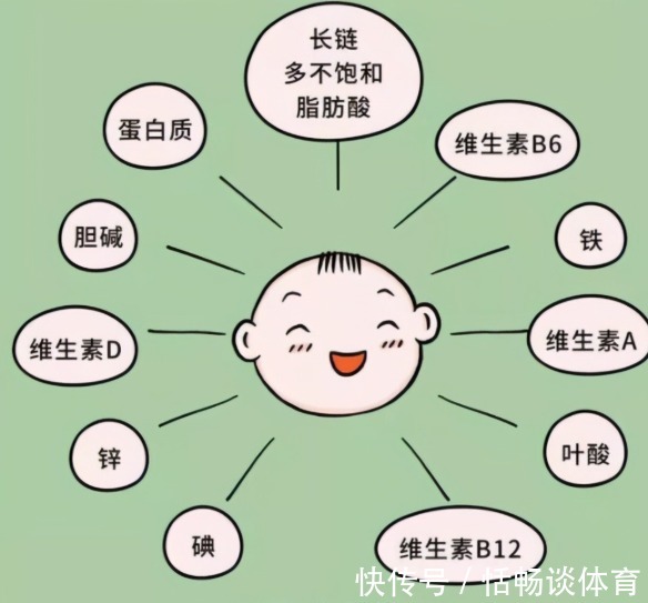 宝宝|怀孕吃什么宝宝更聪明,什么阶段吃最好,根据宝宝大脑发育规律吃