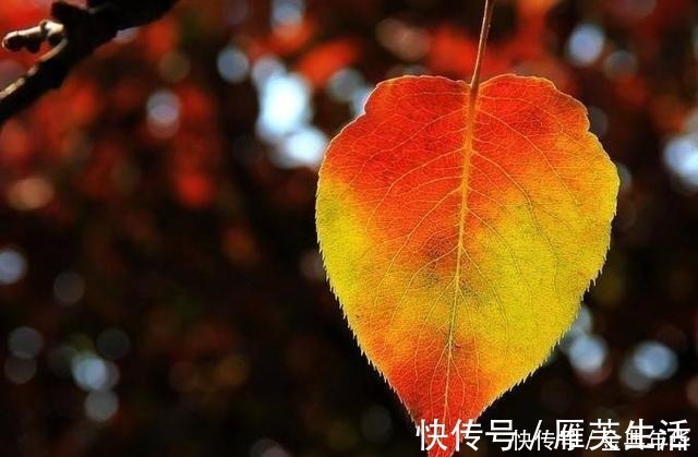 老无所依!人到六十,我们要做好老无所依的准备,原因很现实,写完流泪了