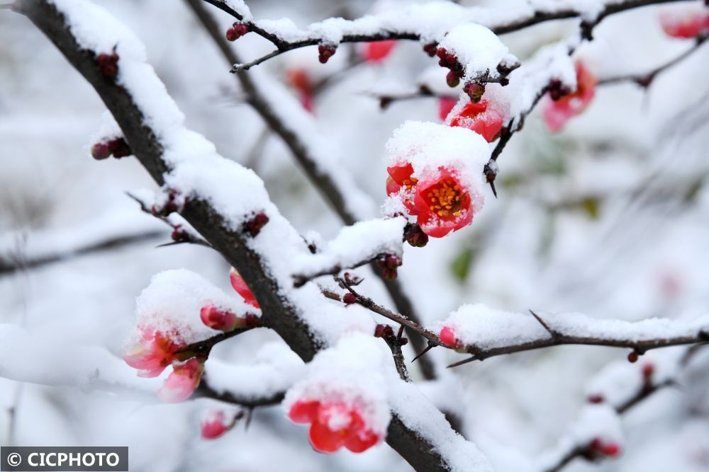 辽宁省|北方冰雪美如画