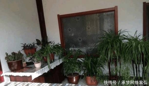 公婆|不顾反对远嫁东北，晒晒跟公婆同住的农家院，卧室估计你没见过！