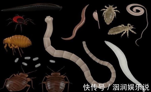 宝塔糖|为什么以前农村小孩每年要吃打虫药,现在却少有人吃了