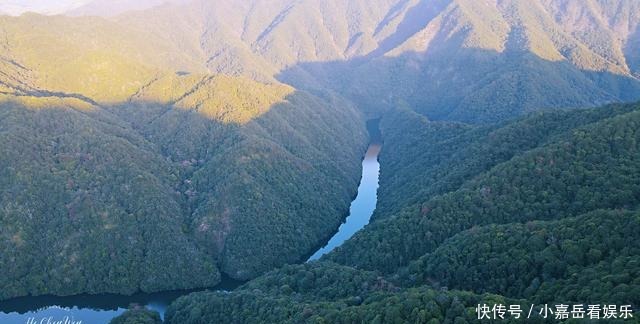 福建生态小镇，山连着山，水连着水，藏着一片世外桃源的茶山