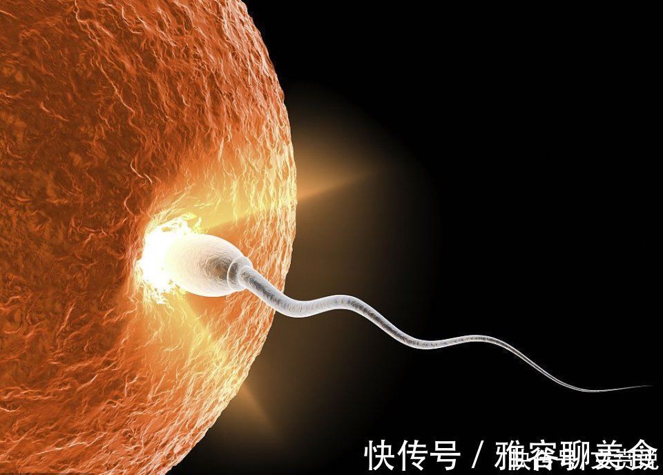 江山易改本性难移|为什么你越恨你的父母,成人以后你越像他们?