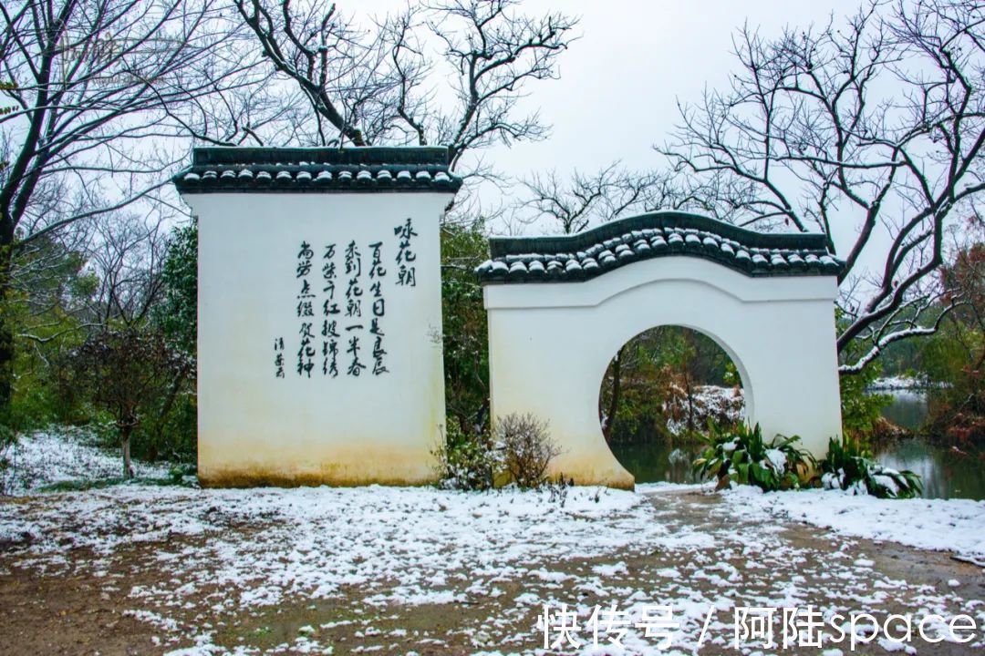 西溪|踏着雨雪寻梅，到西溪绿堤再合适不过，可惜花儿盛开还得等年后