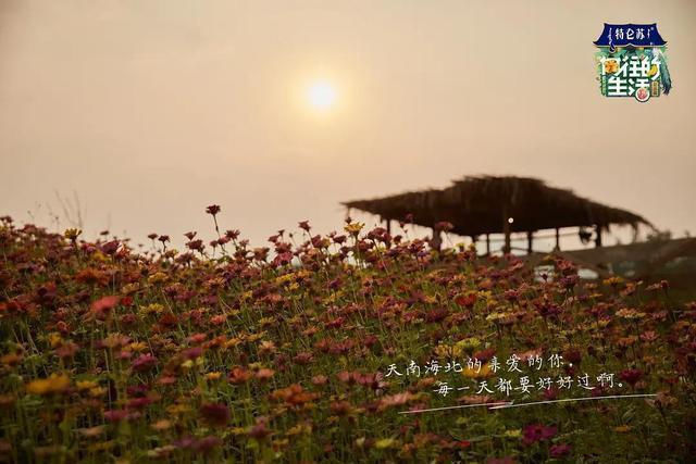 《向往的生活4》在这里取景，千万别来，来了再也不想回去上班