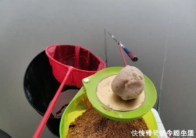 鱼竿|别拿野钓装备去玩黑坑，新手入坑须知：先得把这些渔具买齐了