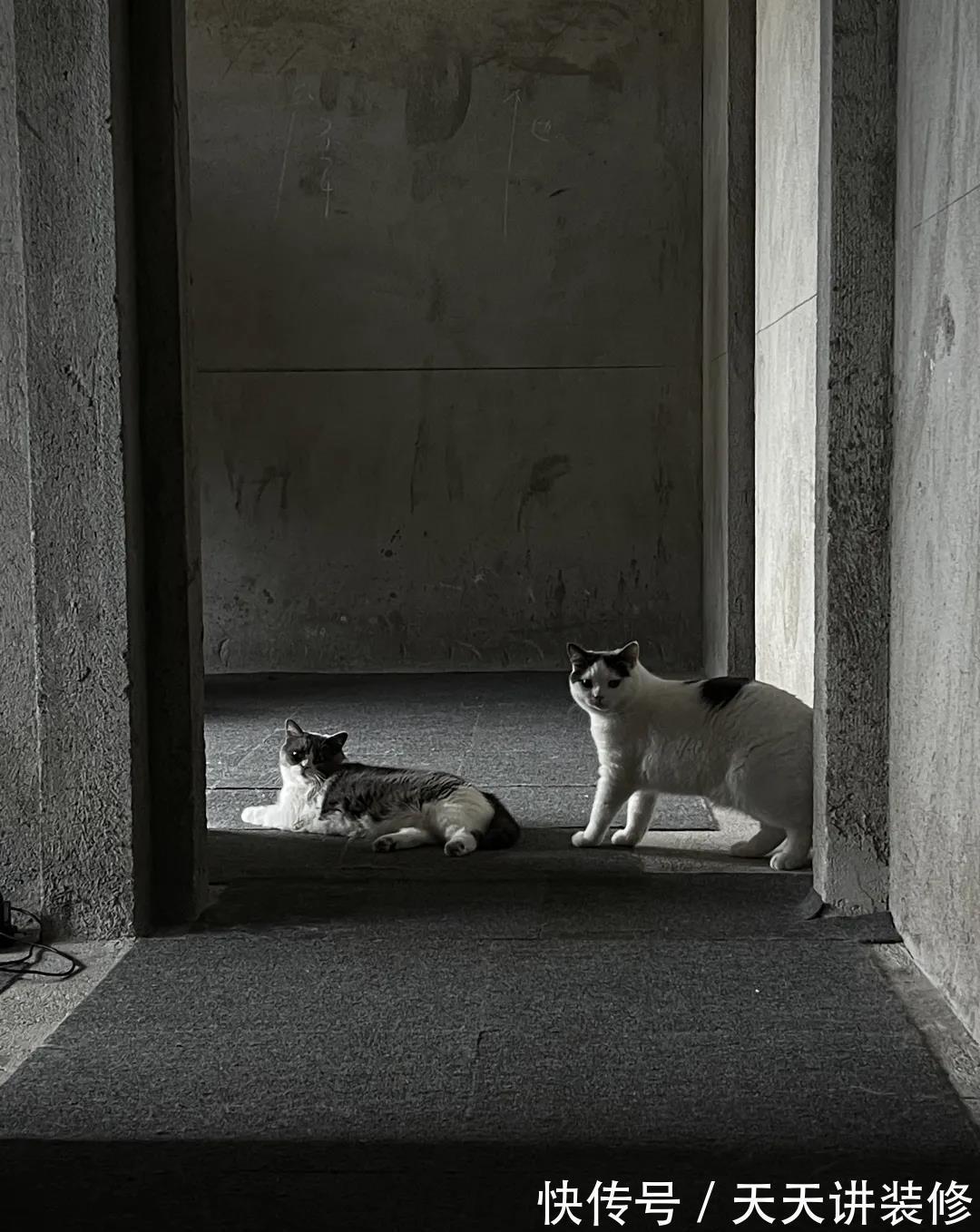 家居|没钱装修，直接住进毛坯房里，这对夫妻的“原始生活”却意外走红