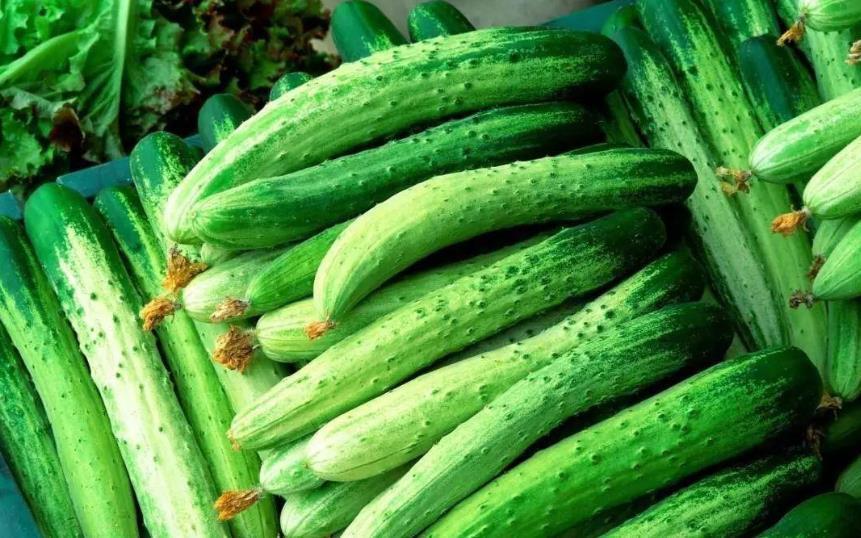 鉴别|还在吃“激素黄瓜”?学会4个鉴别小妙招,再不怕买到激素黄瓜