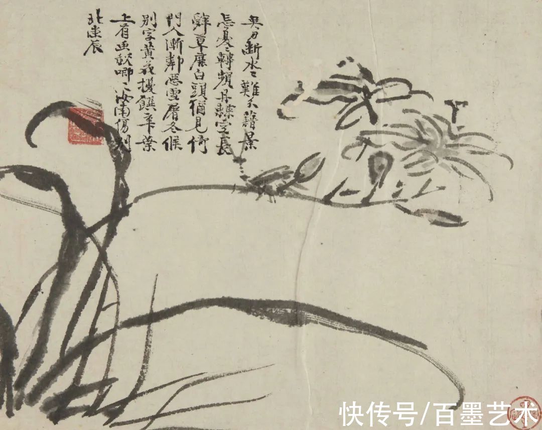 萱花#欣赏 | 草书入画，爽心悦目
