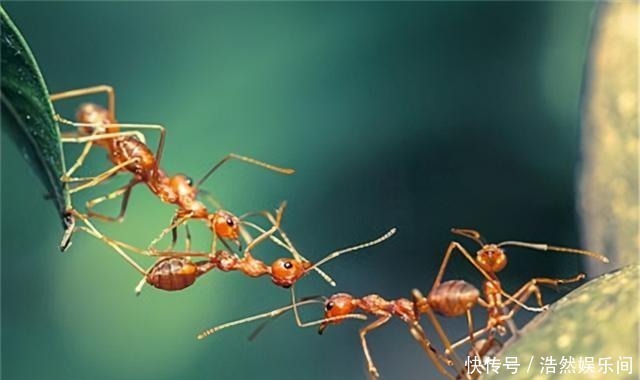 苏格拉底|“性善、性恶”争论千年,王阳明给出了答案