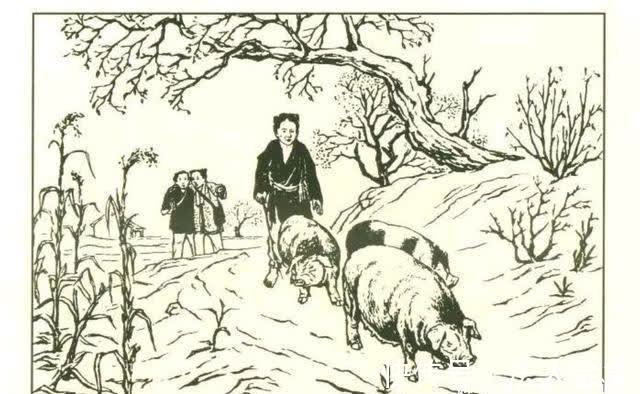 清朝&清朝奇案:一头猪两人抢,县官巧用第三者,妙定猪归宿