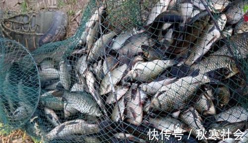 冬季野河钓鲫鱼,不是每段都有鱼,找这四种位置,鲫鱼基本躲这里