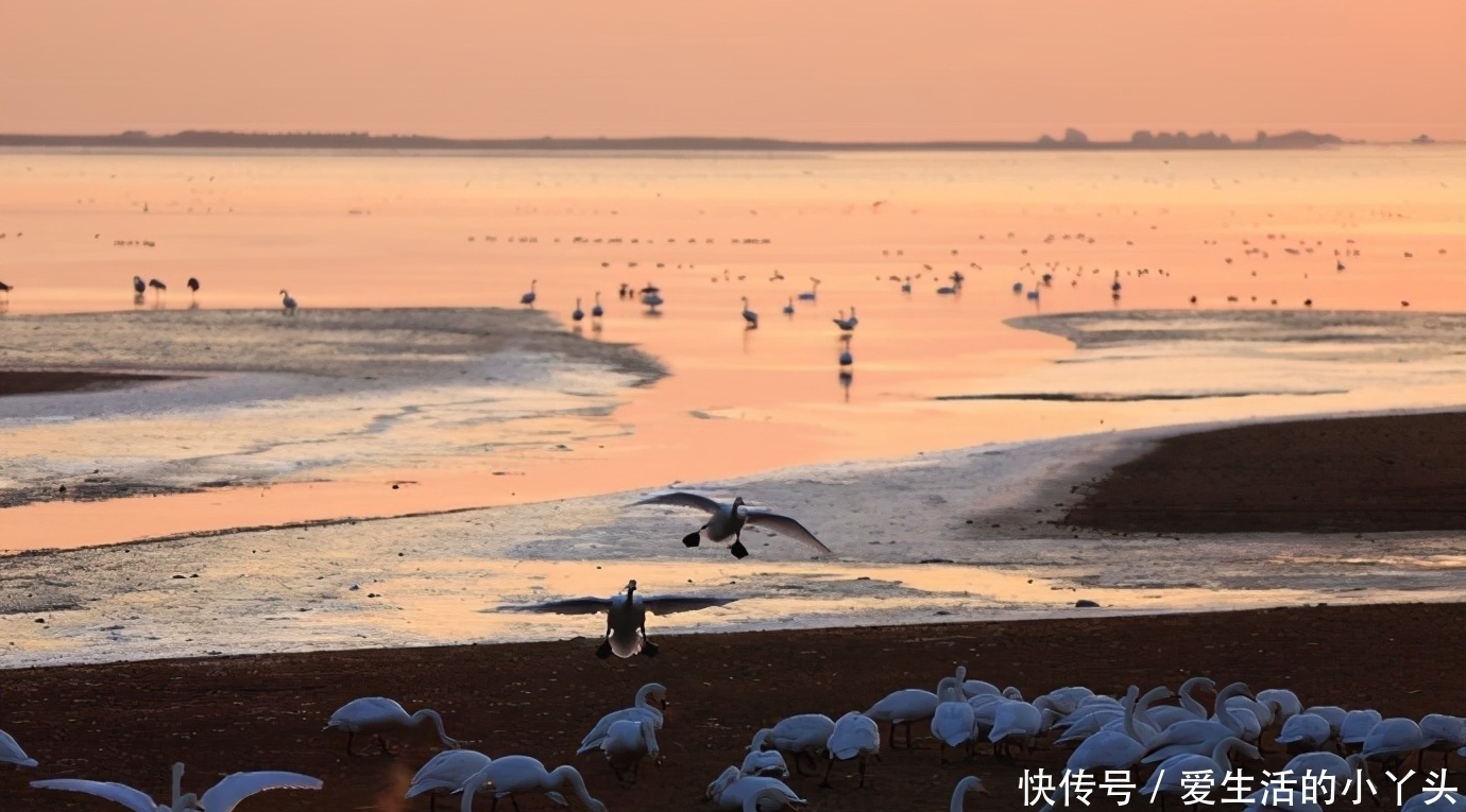 旅行|这才是12月最美旅行地，看到第1个就心动了，有你想去的吗？