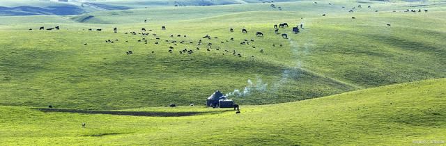 牛羊$游牧诗词12首:遍地牛羊茅舍暖，牧民纵马笑声欢