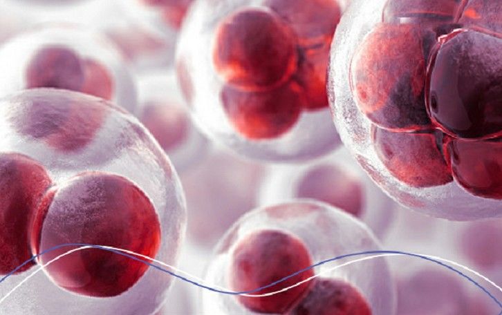 叶黄素|真正的“护眼高手”,小小一颗补充4种营养,赶走眼干眼涩,视物清晰不疲劳